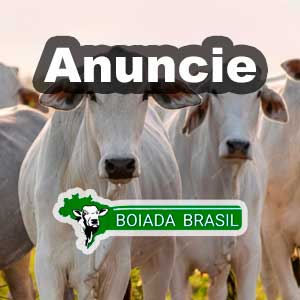 Publicidade Lateral teste 02