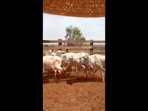 Venda Teste