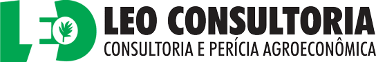 Leo Consultoria